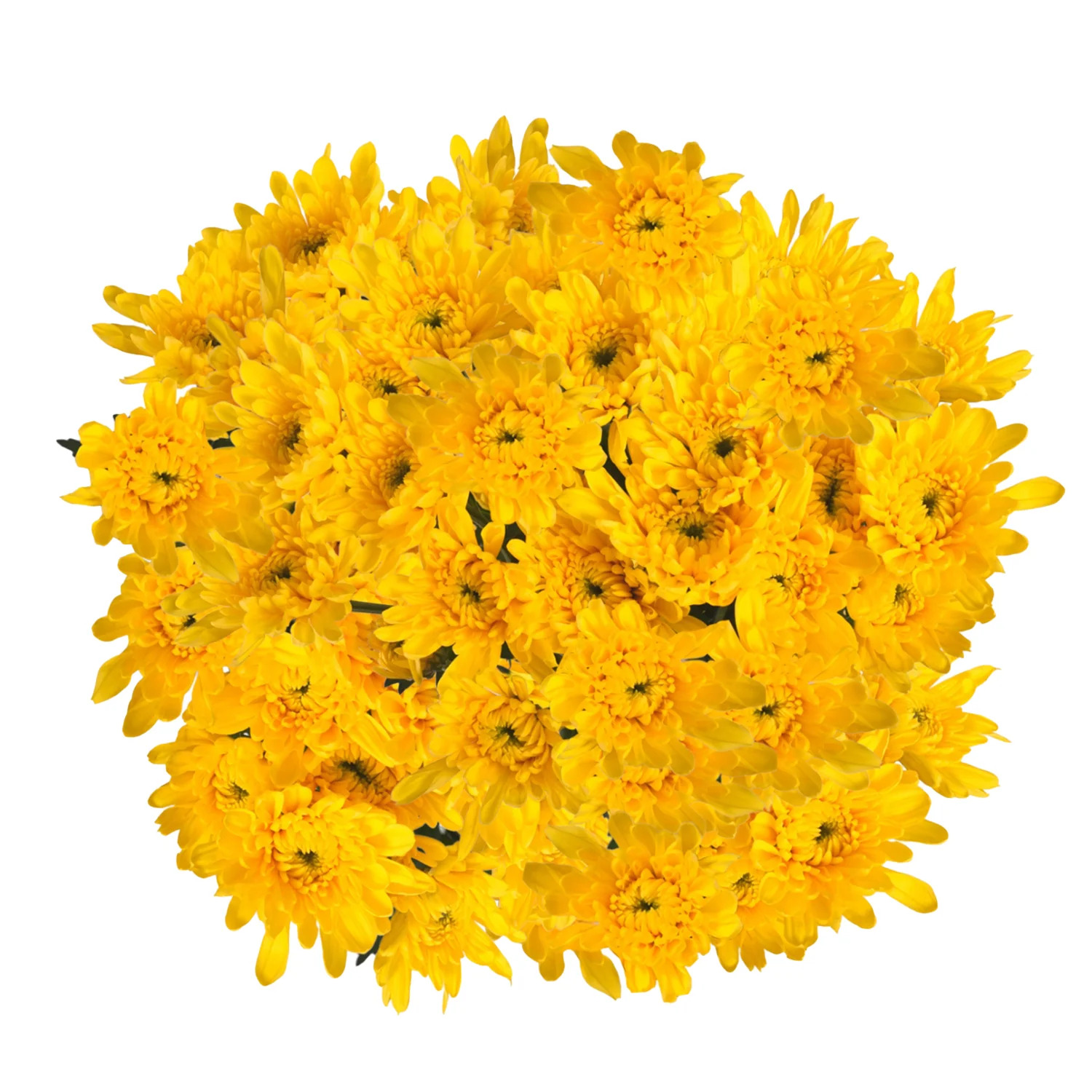 Yellow Pompom Cushion - 5 Dal