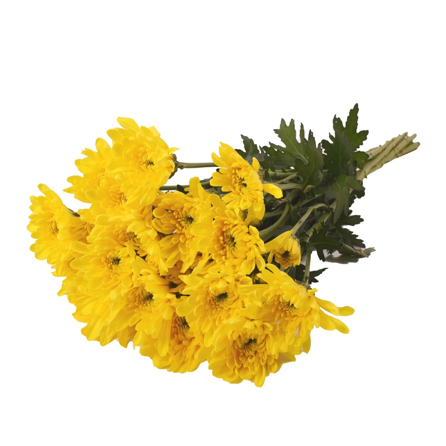 Yellow Pompom Cushion - 5 Dal