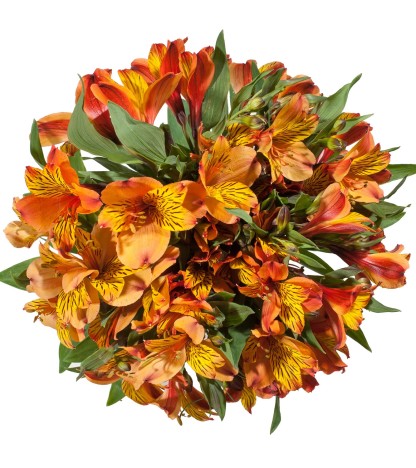 Turuncu Alstroemeria - 10 Dal
