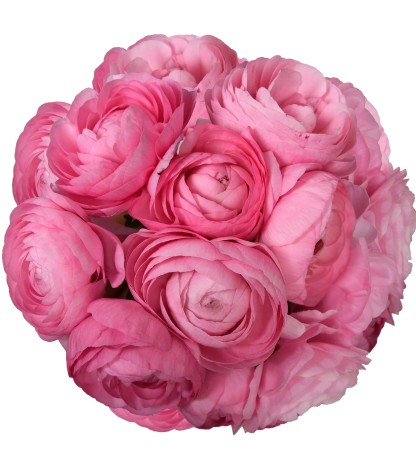 Pembe Erengül - 25 Dal