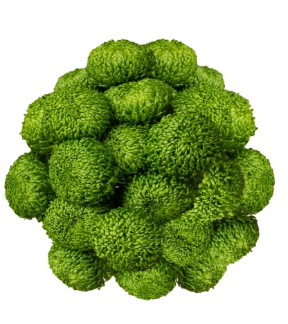 Bombelini Cremon - 5 Dal