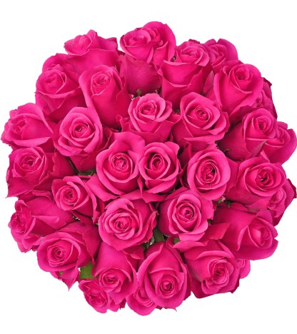 Hot Pink Gül - 10 Adet
