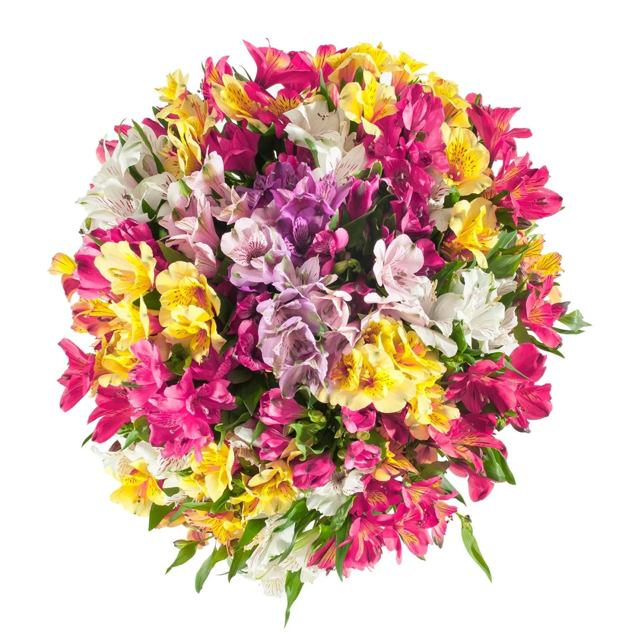 Mix Alstroemeria - 10 Dal