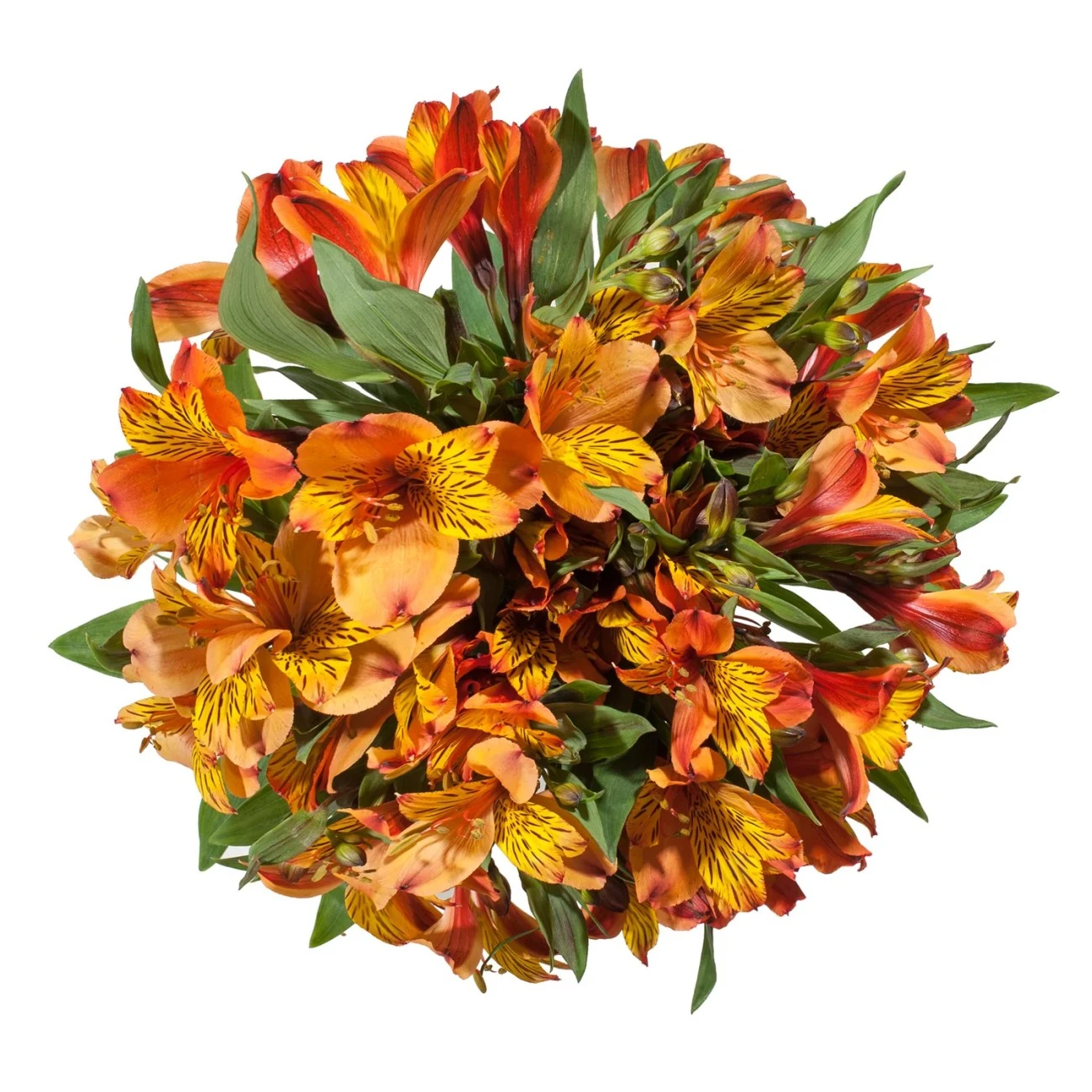 Turuncu Alstroemeria - 10 Dal